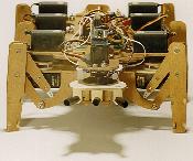 Front View of Robobug