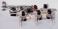 Robobug Standing