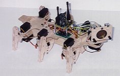 Robobug with Pan-Tilt Head and RF Communications Board
